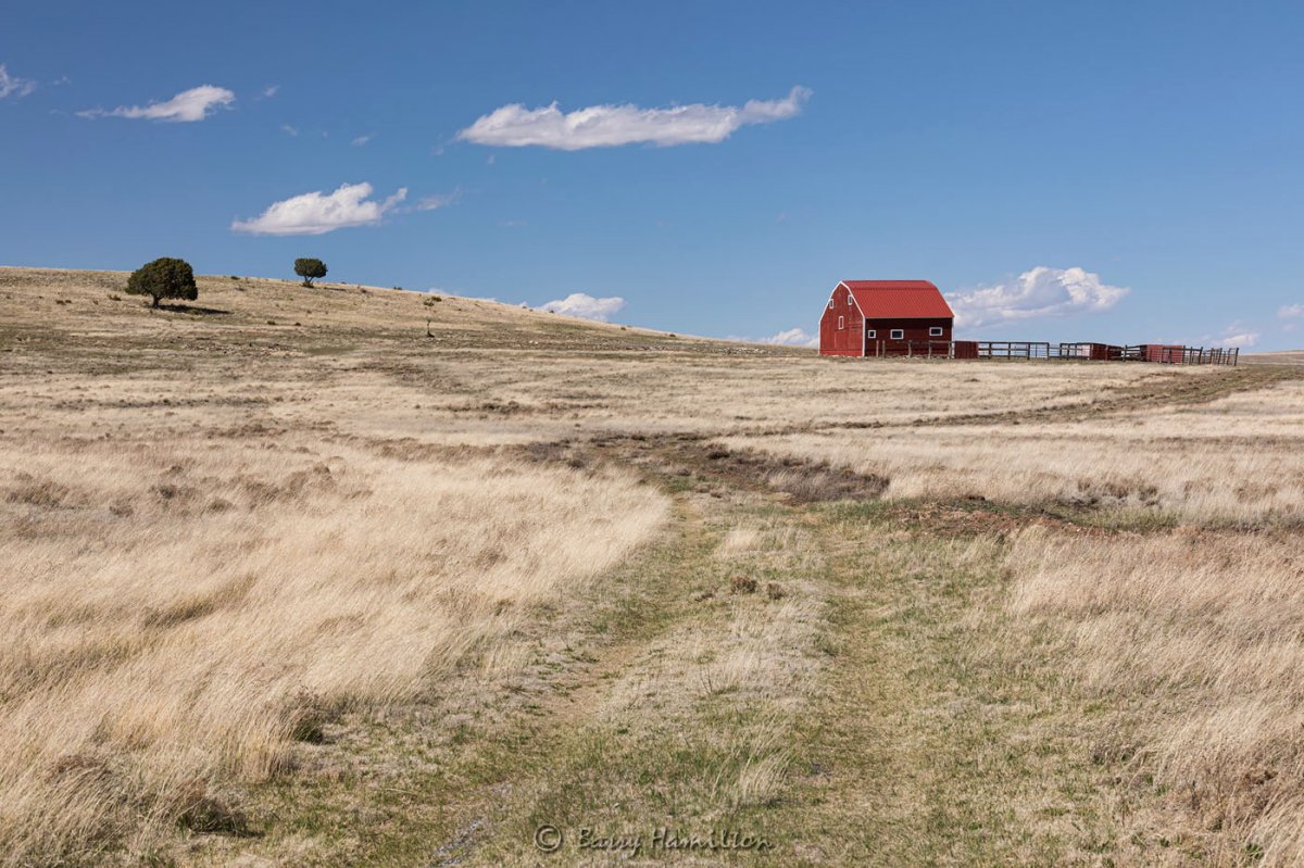190501_BH_8220fw.jpg