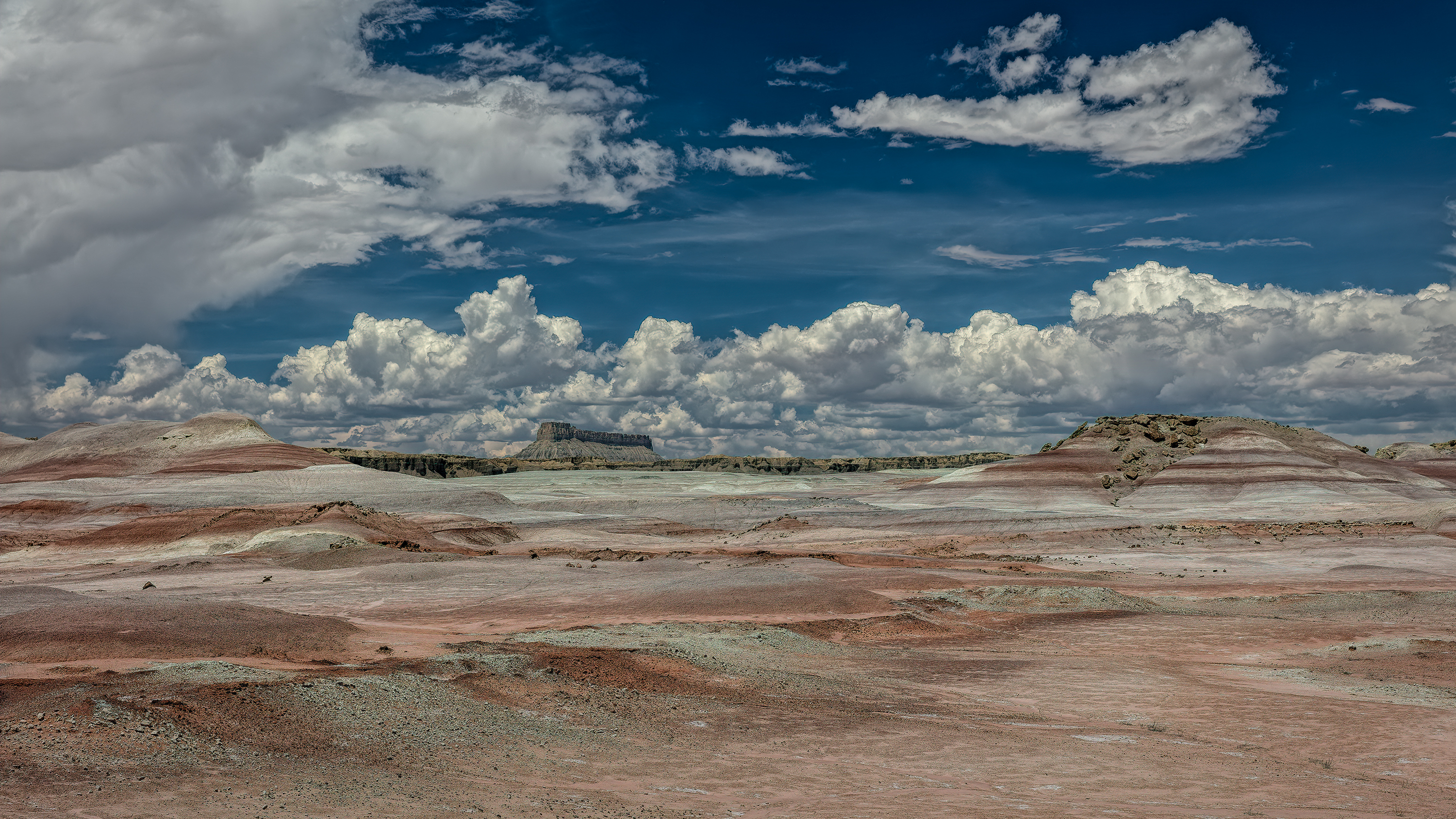 190606-10290-5DS R-CR2_DxO_DeepPRIME.jpg