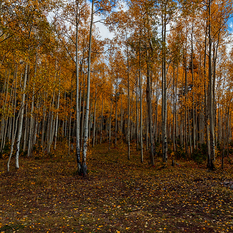 190929-11485-5DS R 4x4.jpg