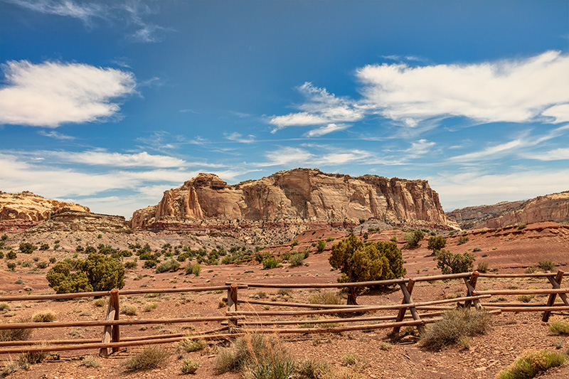 200506-12747-5DS R.jpg