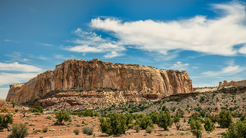 200506-12749-5DS R.jpg