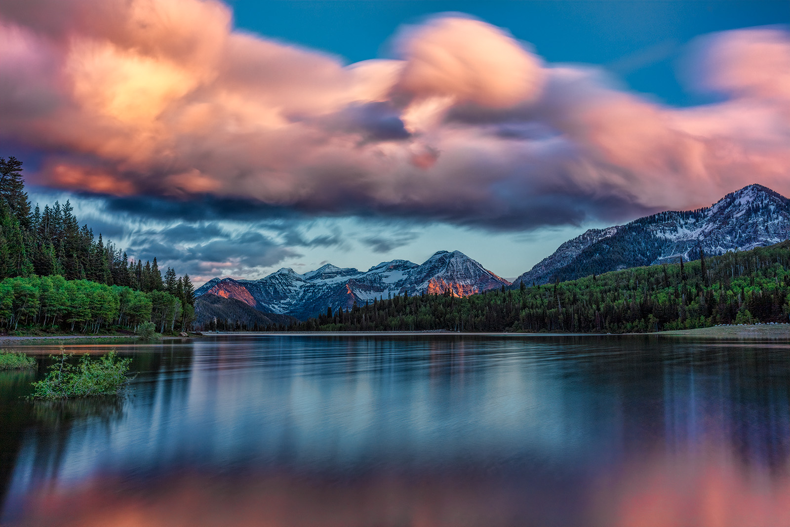 200608-13739-5DS R.jpg