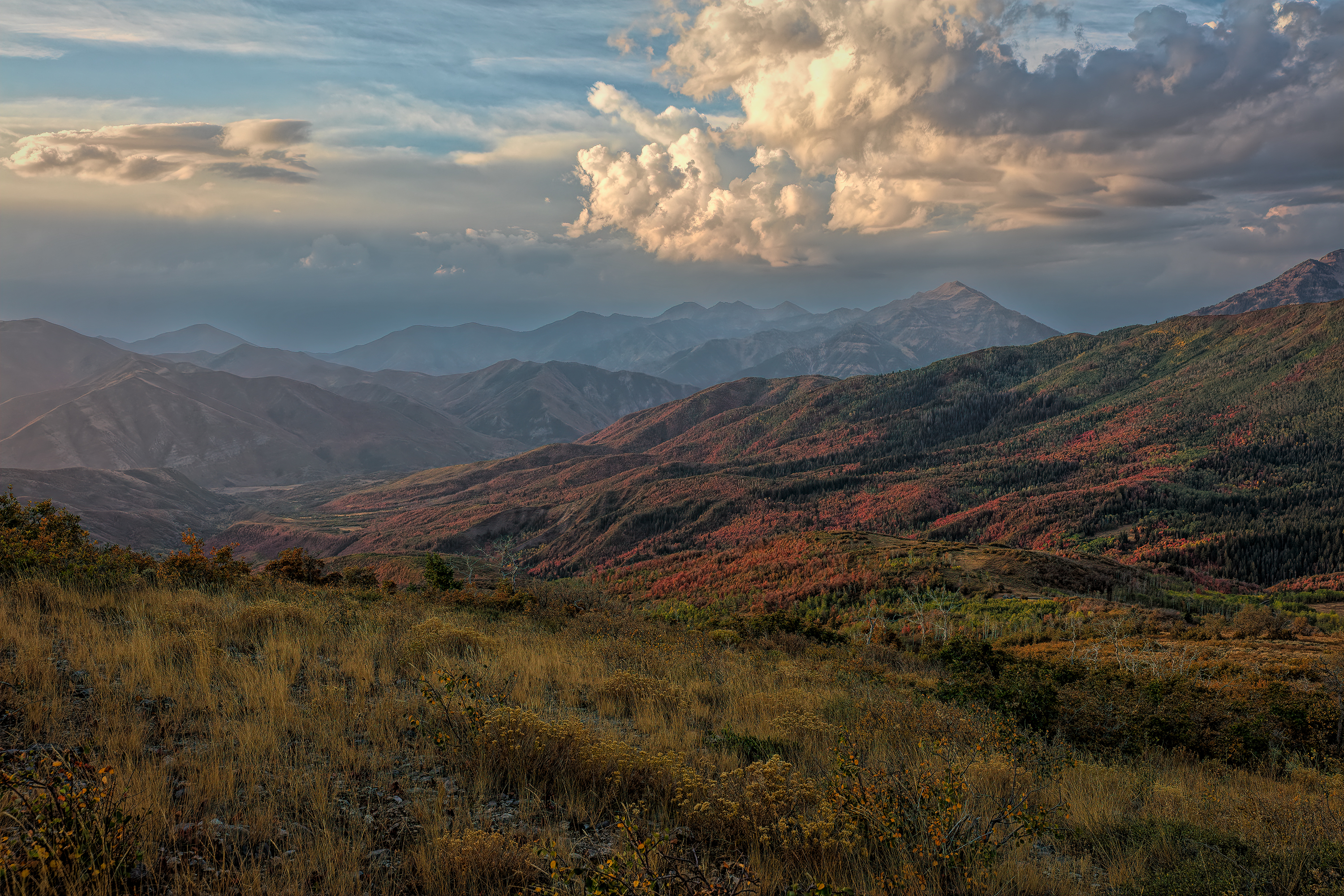 200922-14332-5DS R-CR2_DxO_DeepPRIME.jpg
