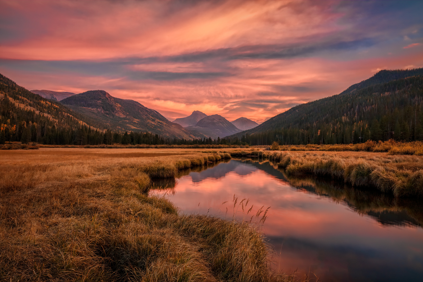 200925-14398-5DS R bw - Copy.jpg