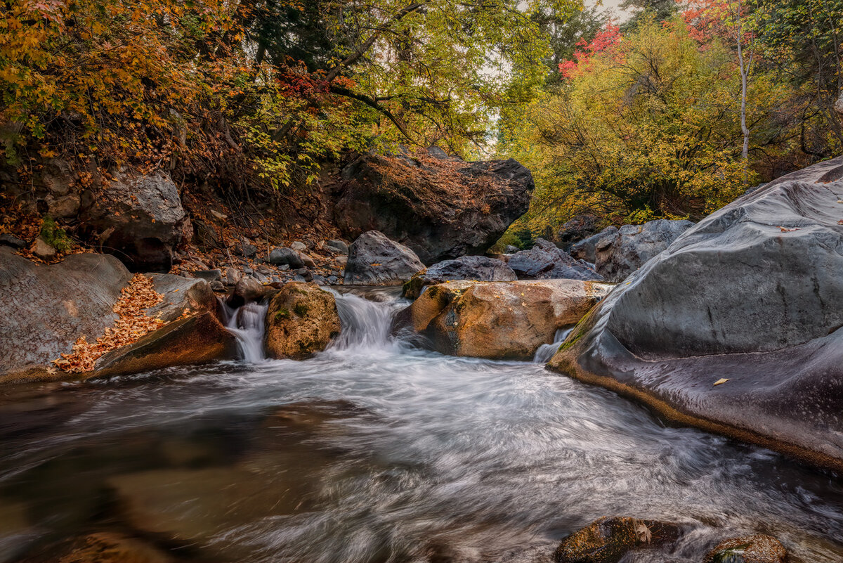 201009-14616-5DS R.jpg