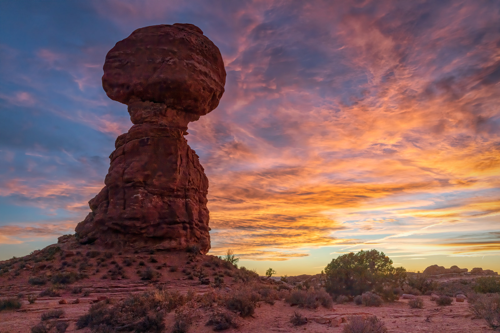 201019-14734-5DS R d - Copy.jpg