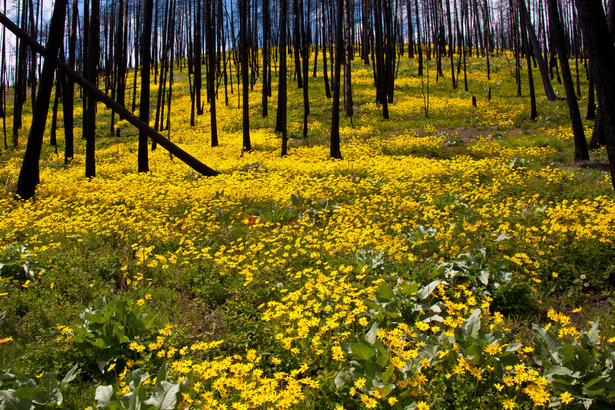 20110515-DSC_4027.jpg
