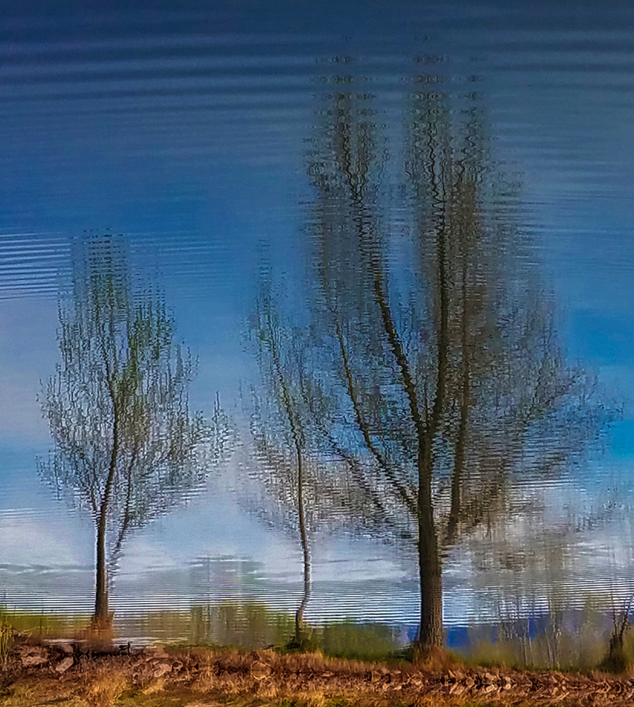 20180329_0735521.jpg