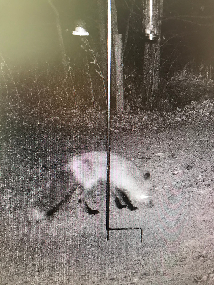 2019111415552016--7801880989916375834-IMG_4981-X2.jpg