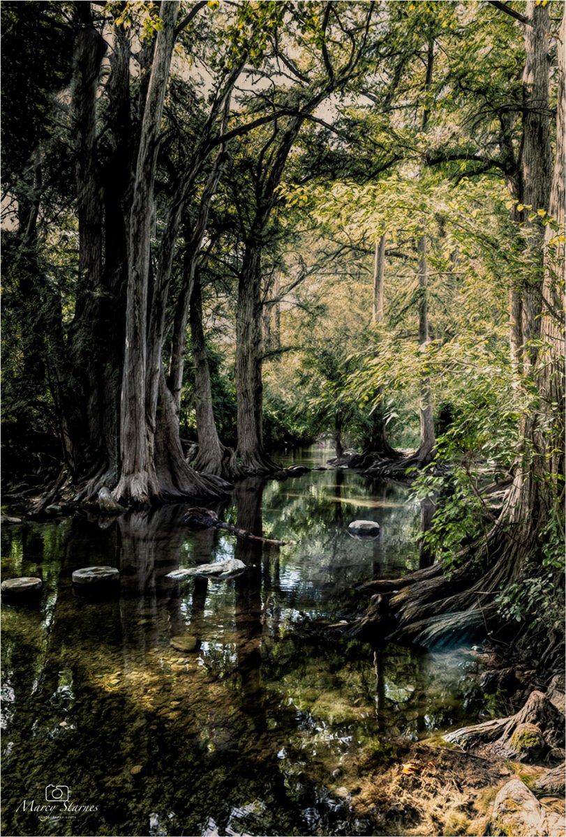 2019_boerne_05_web.jpg