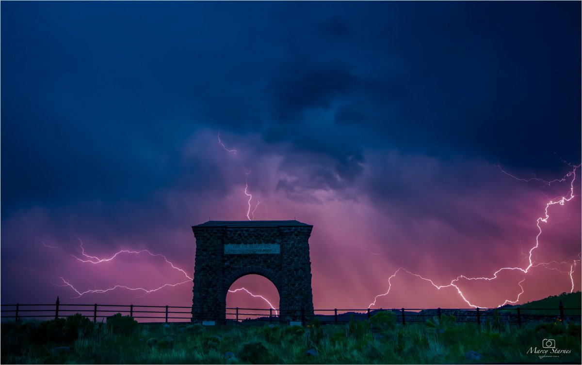 2019_ynp_light_01_web.jpg