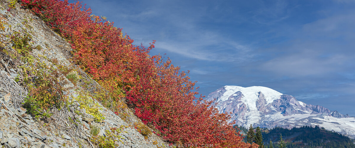 2022.09.30-around-paradise-5.jpg