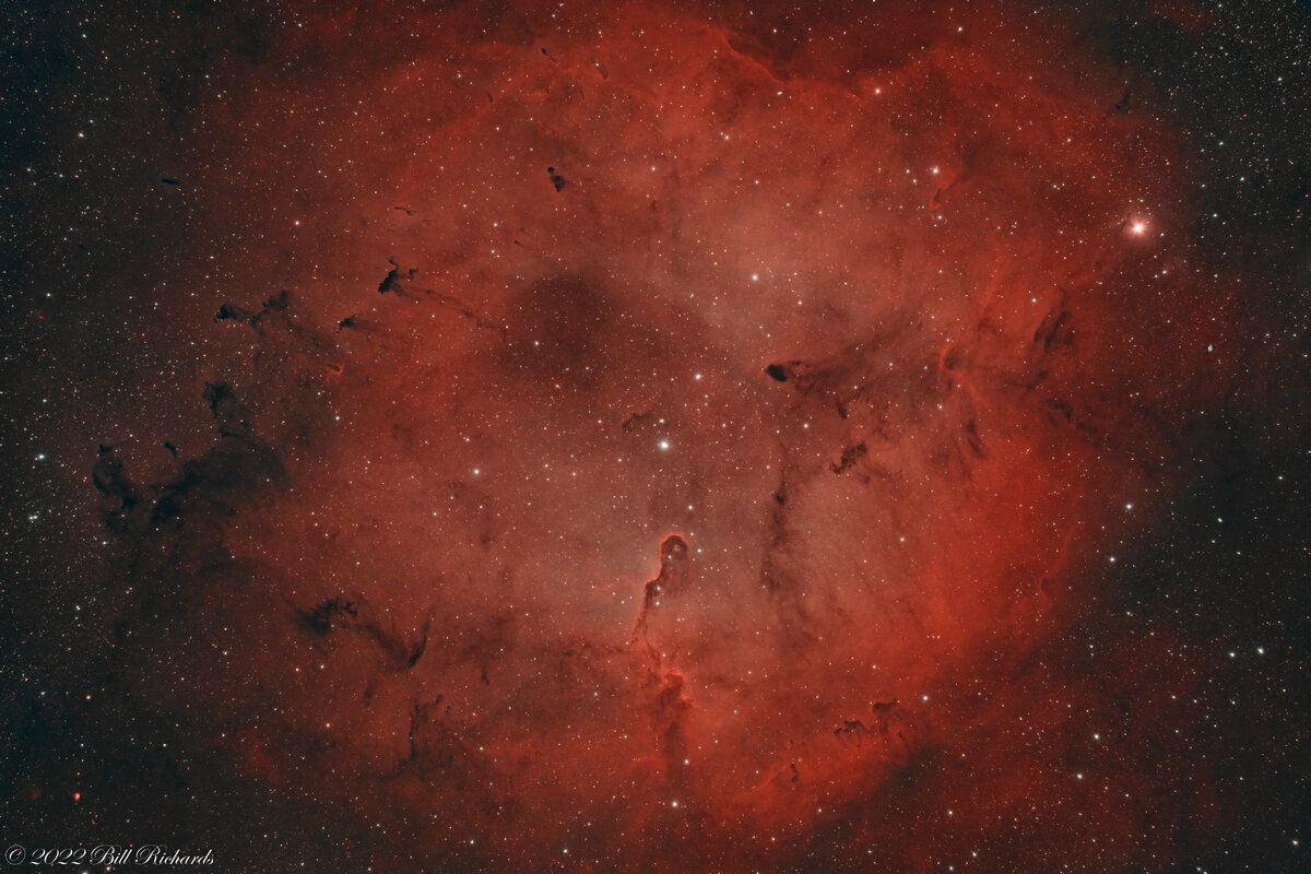 2022_09_30 Elephant's Trunk Nebula-IC1396.jpg