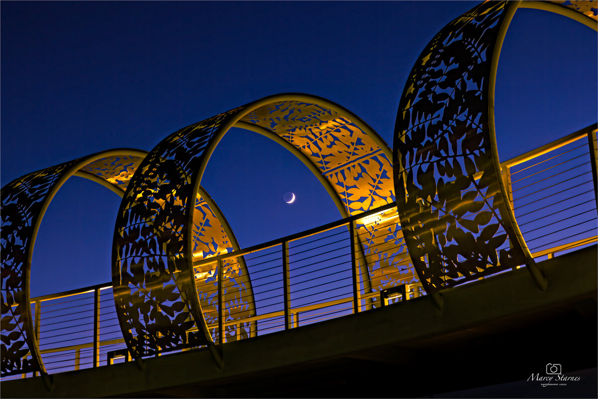 2022_nov_bridge_01_web.jpg