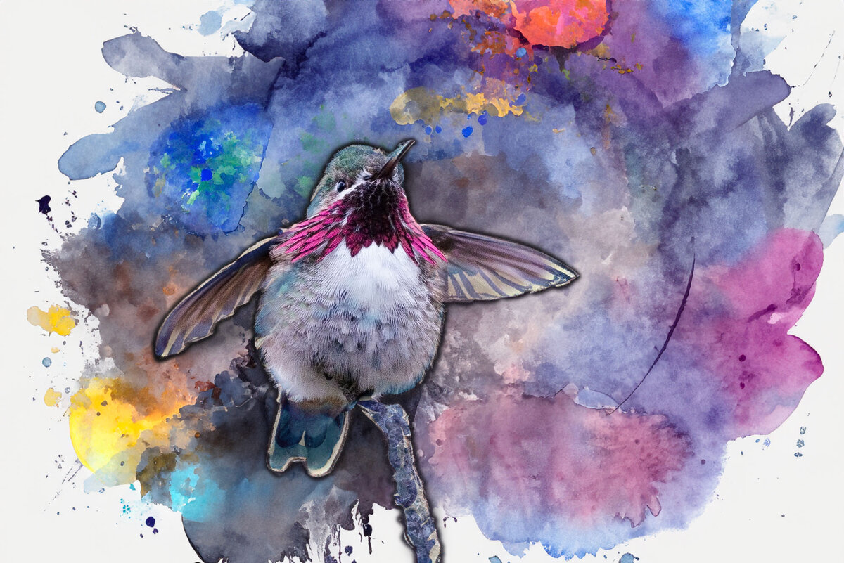 2023_YNP_hummer_0005_generated.jpg