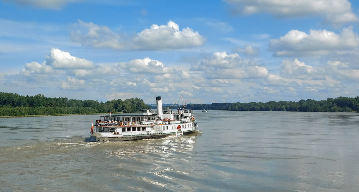 20240526_161504 copy.jpg