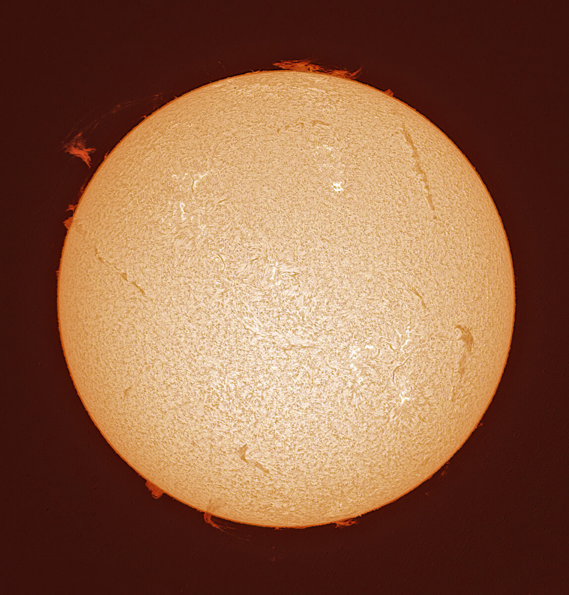 2025-08-18-2327_9-Suncropf.jpg