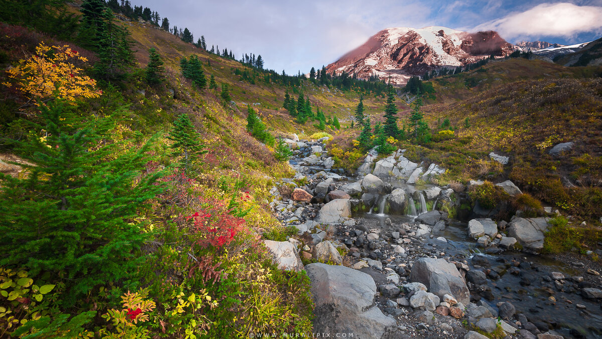 2025.10.08 - Edith Creek.jpg