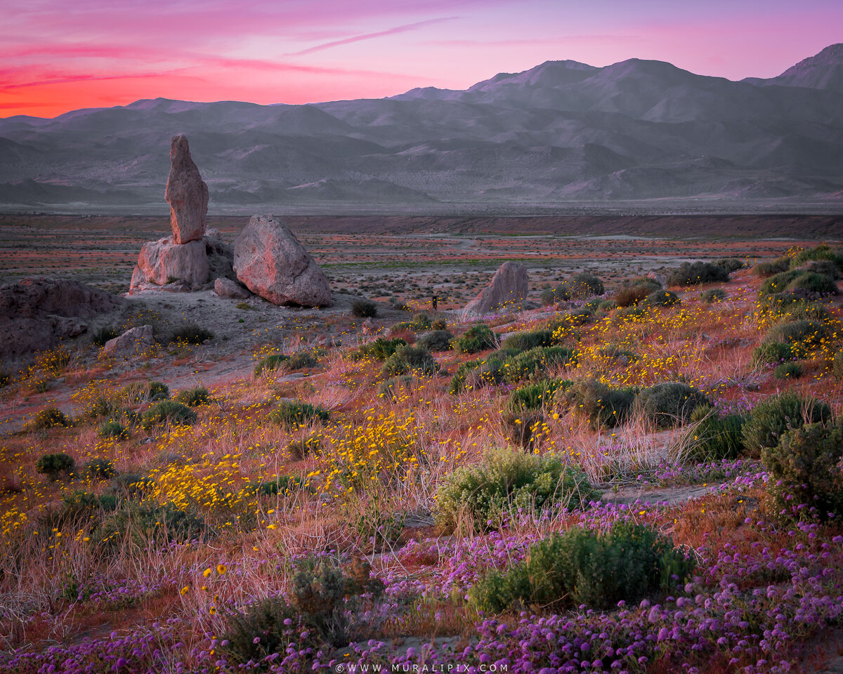 2026.03.13 - Trona Pinnacles 12.jpg