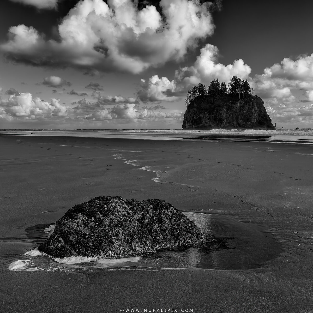 2026.05.16 La Push Second Beach Sea Stacks 01.jpg