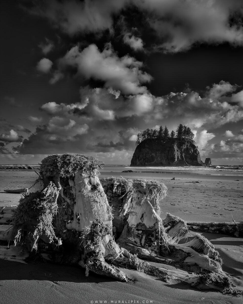 2026.05.16 La Push Second Beach Sea Stacks 03.jpg