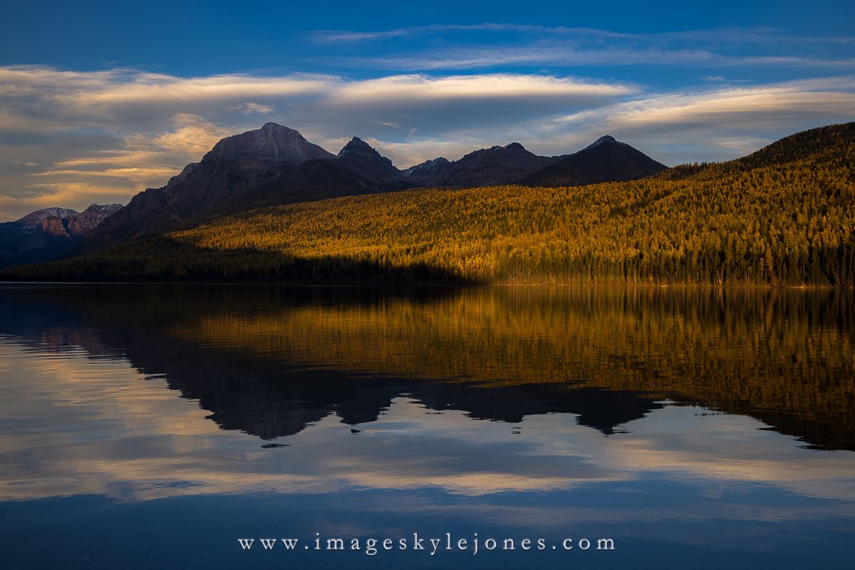 2040 Bowman Lake Glowing Trees_1200.jpg