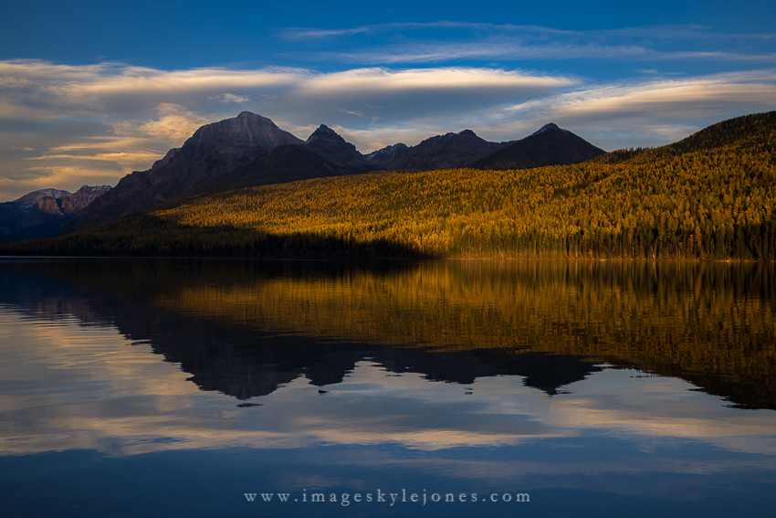 2040 Bowman Lake Glowing Trees_850.jpg