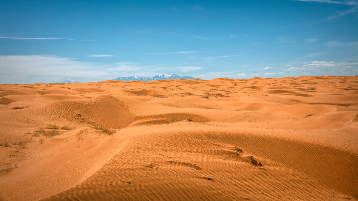 210412-22787-5DS R.jpg