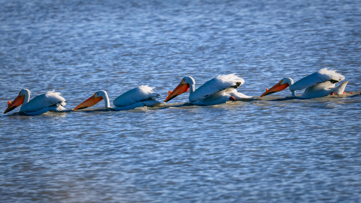 210429-23846-5DS R.jpg