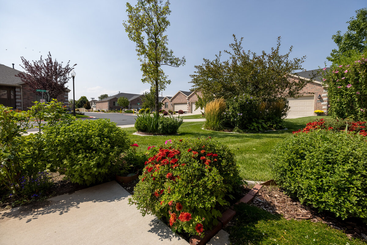 210822-25827-30 4 img f56 onc 4.jpg