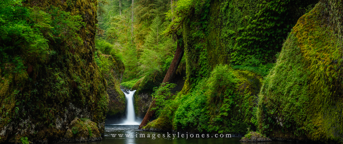 2146 Punchbowl Panorama_1200.jpg