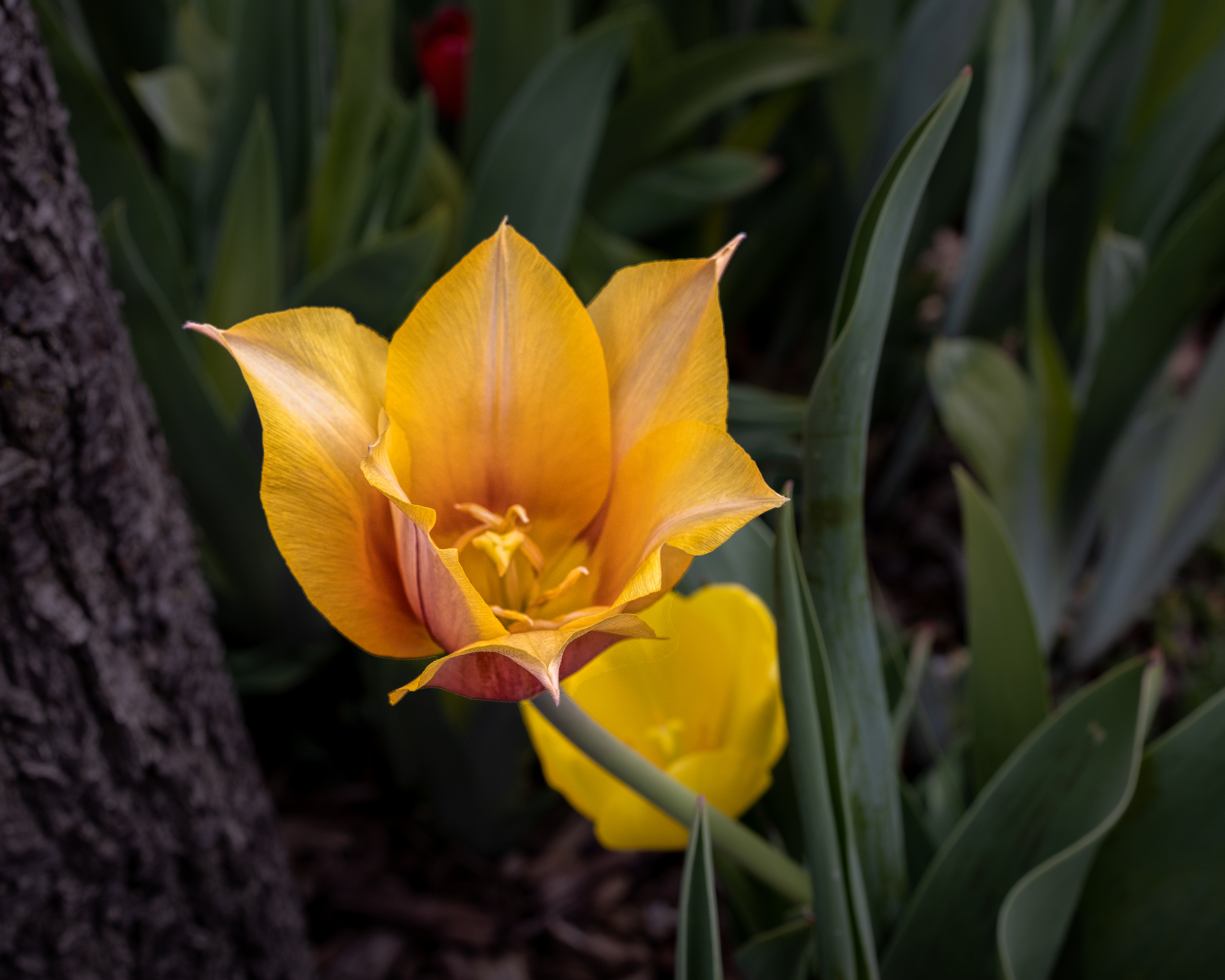 220426-1353-R5.jpg