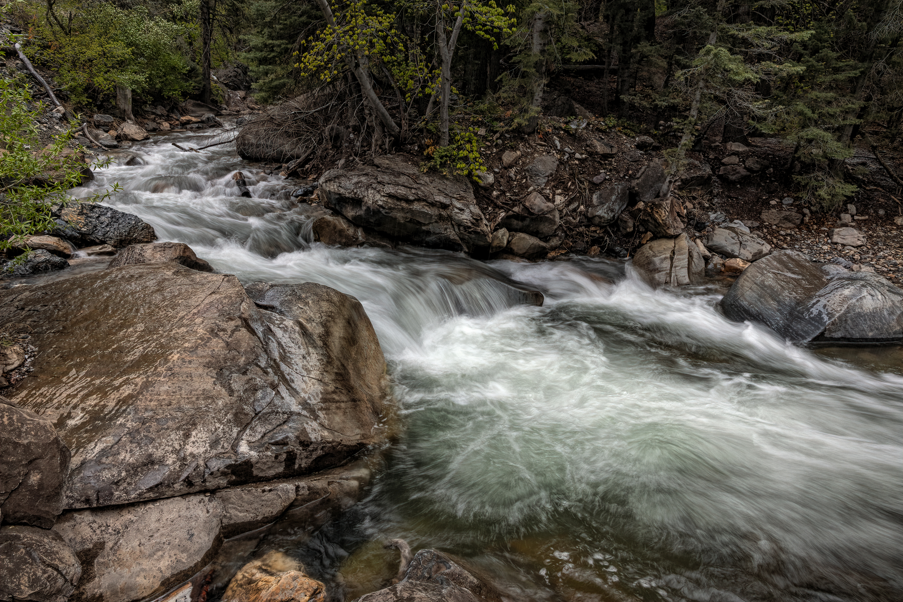 220509-1409-R5A.jpg