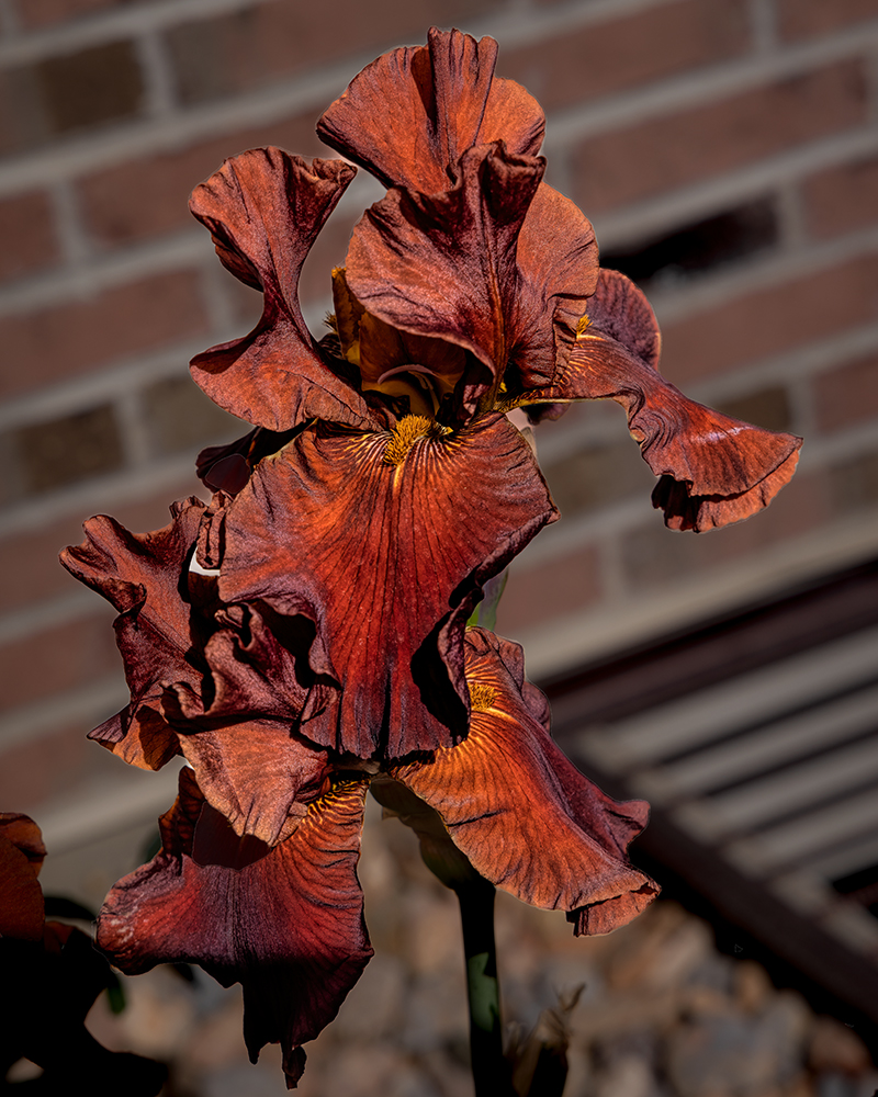 220528-1443-R5.jpg