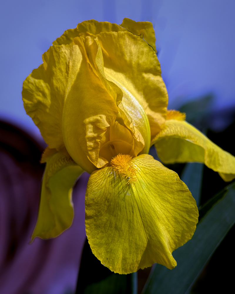 220528-1444-R5.jpg