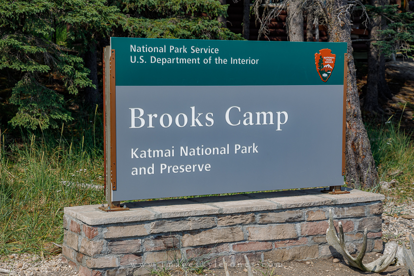 2248 Brooks Camp_850.jpg