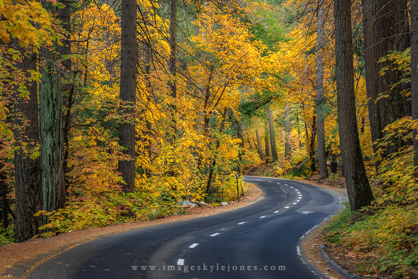 2306 Southside Drive_850.jpg