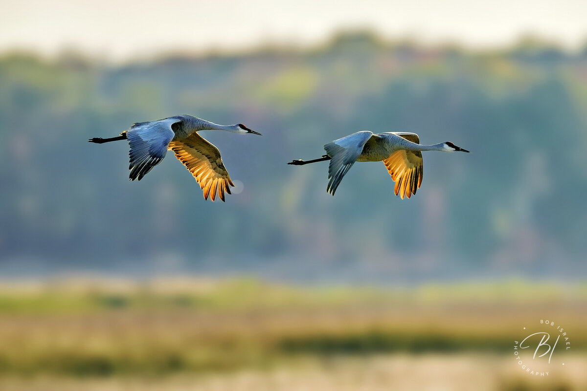 2310 Sherburne-208-Edit-Edit-Edit.jpg