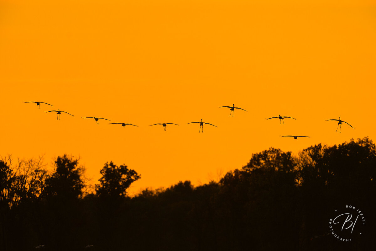 2310 Sherburne-423-Edit.jpg