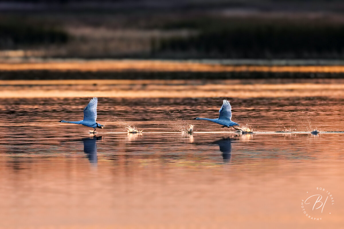 2310 Sherburne-479-Edit-Edit-Edit.jpg