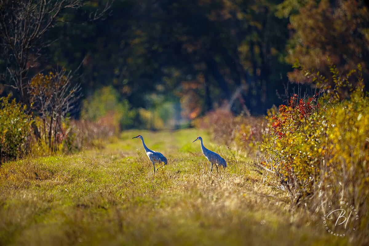 2310 Sherburne-7-Edit-Edit.jpg