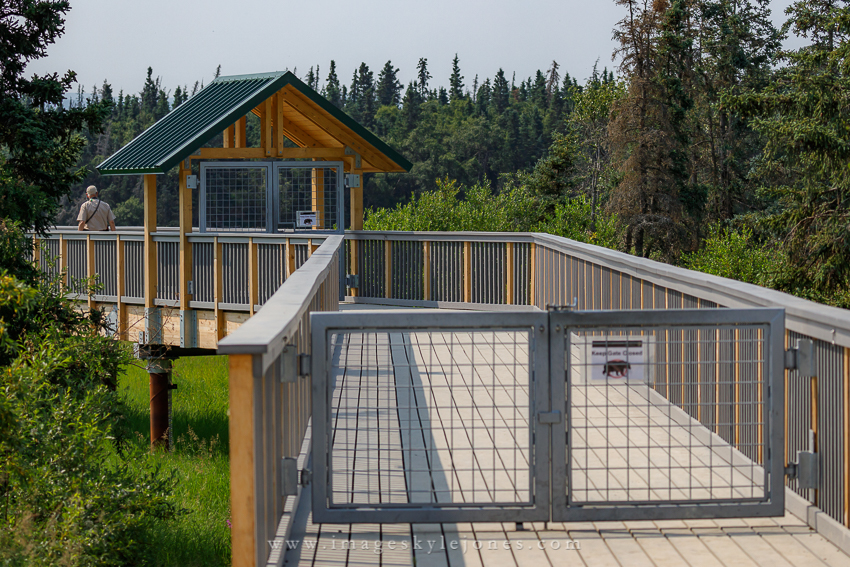 2377 Brooks Camp Bridge_850.jpg