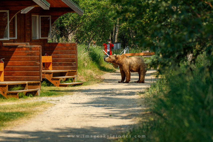 2382 Camp Bear_850.jpg
