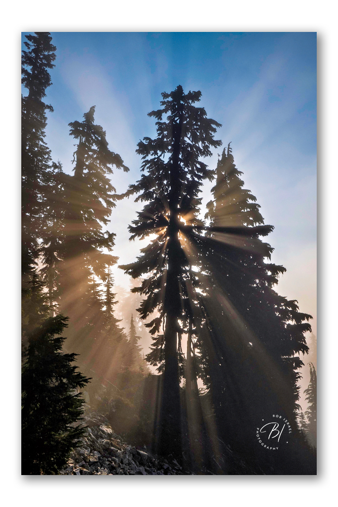 2509 Washington-442-Edit_BIP 1000_667x1000_U_100.jpg