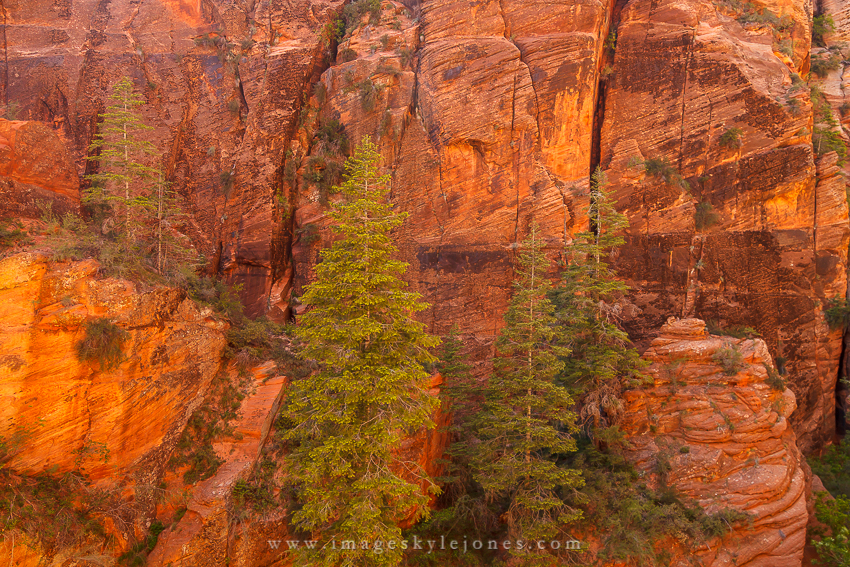 2663 Refrigerator Canyon_850.jpg