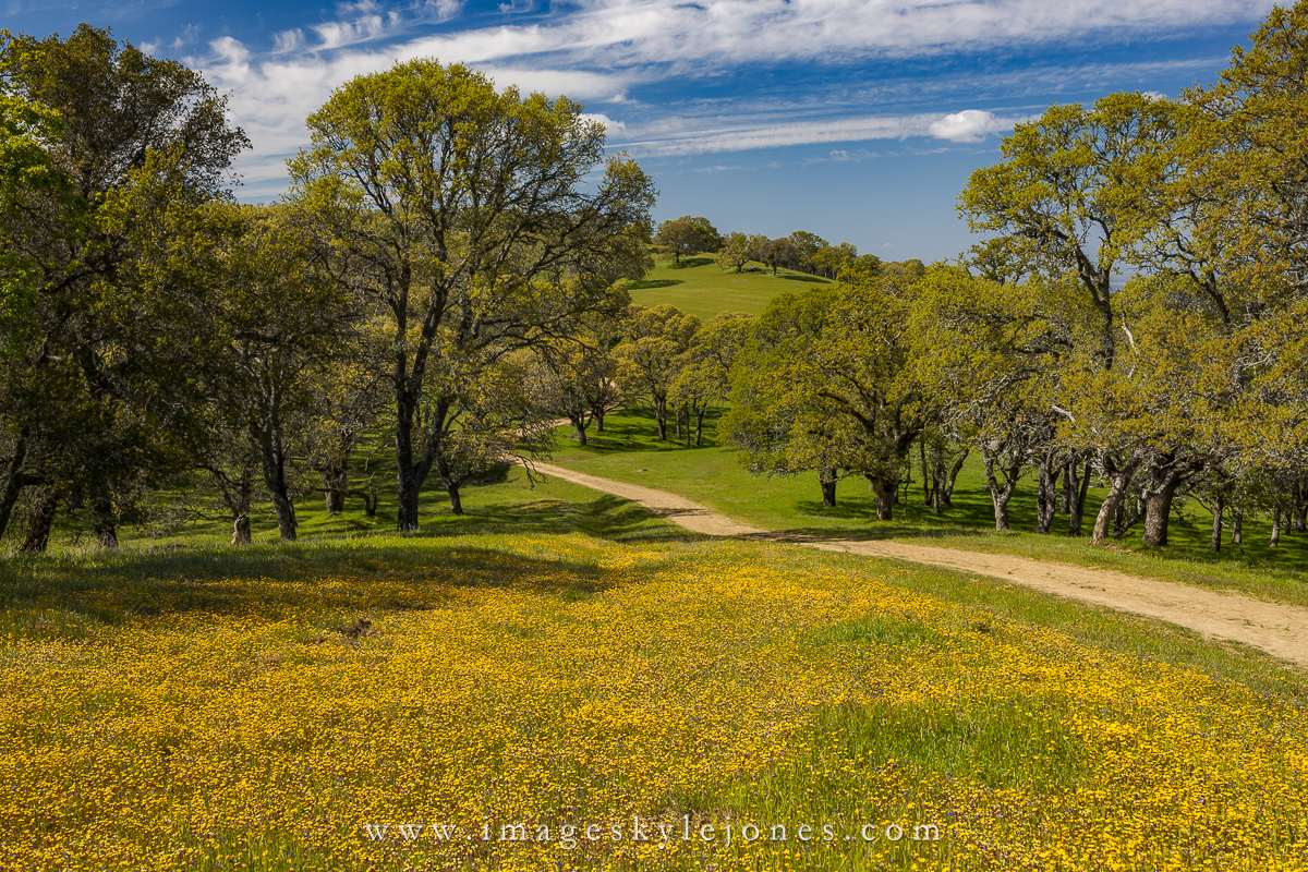 2975 Morgan Territory Spring_1200.jpg