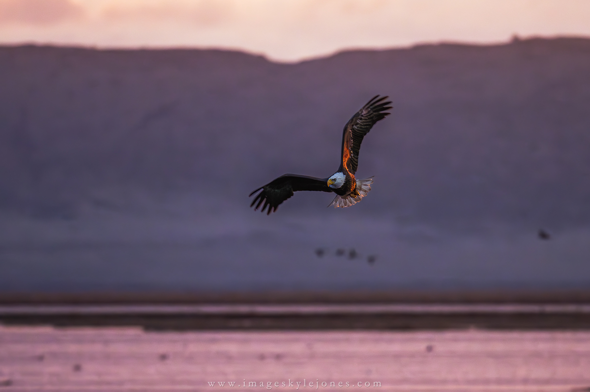 2984 Banking at Sunrise_1200.jpg