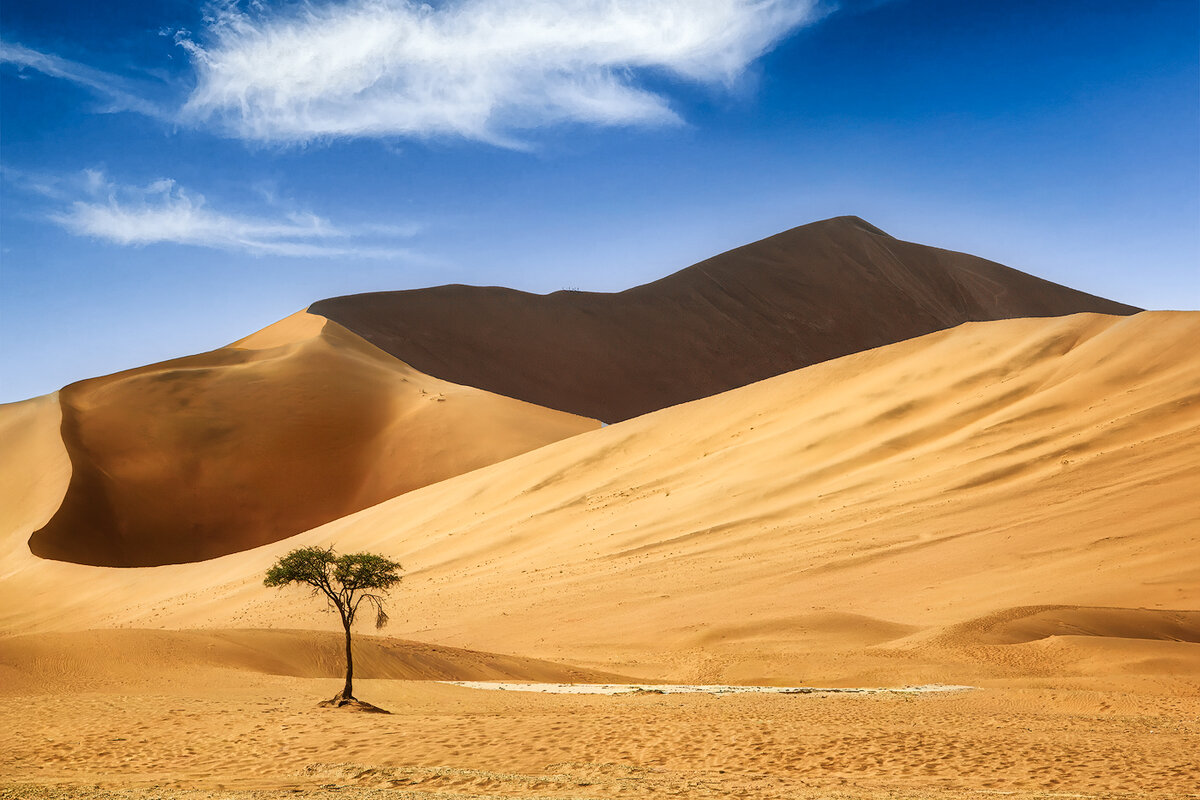 2_SandersonJ_Lone Tree.jpg