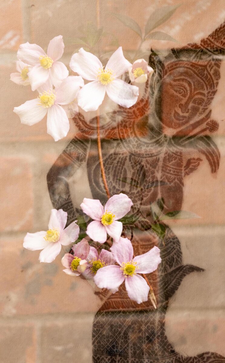 2nd Double Exposure in Camera1.jpg