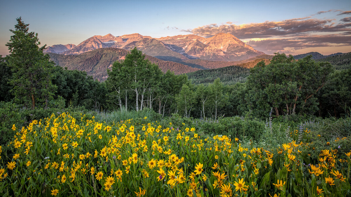 3-160702-5728-5DS- R 72622.jpg